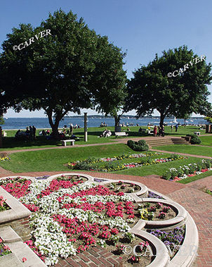 Its a Beautiful Day
The rose garden at Lynch Park in Beverly, MA on a perfect summer day.
Keywords: Lynch Park; Beverly; flower; public garden; garden; rose garden; photograph; picture; print