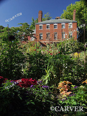 Petals and Bricks
An old industrial building stands behind the Garden at the Ropes Mansion in Salem, MA.
Keywords: salem; flowers; brick; church; ropes mansion; photograph; picture; print; garden