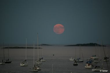 Rise of a Blue Moon
From Independence Park in Beverly, MA. Taken as twilight sets in, this is the same moon seen in the Blue Moonset picture.
Keywords: Blue Moon;Moonrise;Beverly