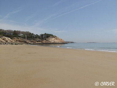 Singing Beach
